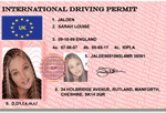 Picture of a international drivers license